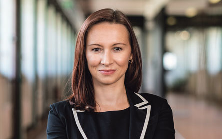 Daniela Höllerbauer Firestorm Digital Kunde